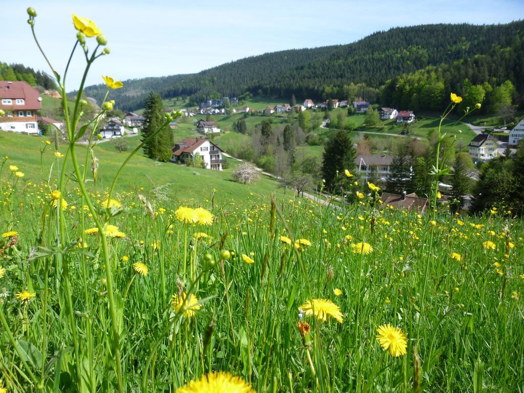 באיירסברון Schwarzwald-Ferienwohnungen Begert מראה חיצוני תמונה