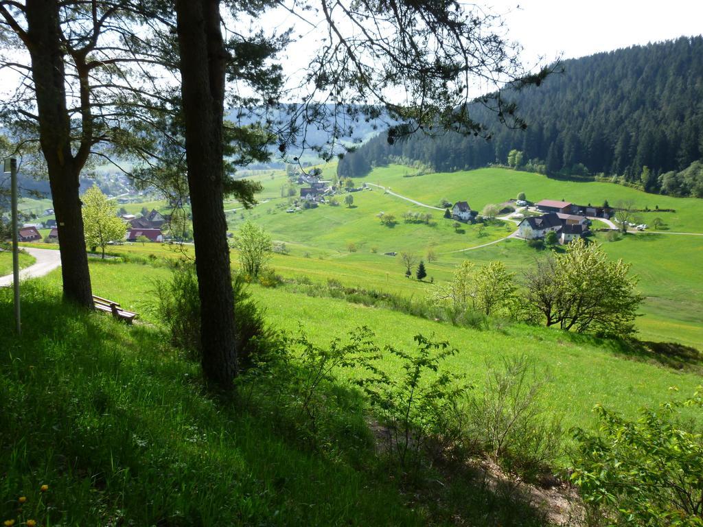 באיירסברון Schwarzwald-Ferienwohnungen Begert מראה חיצוני תמונה